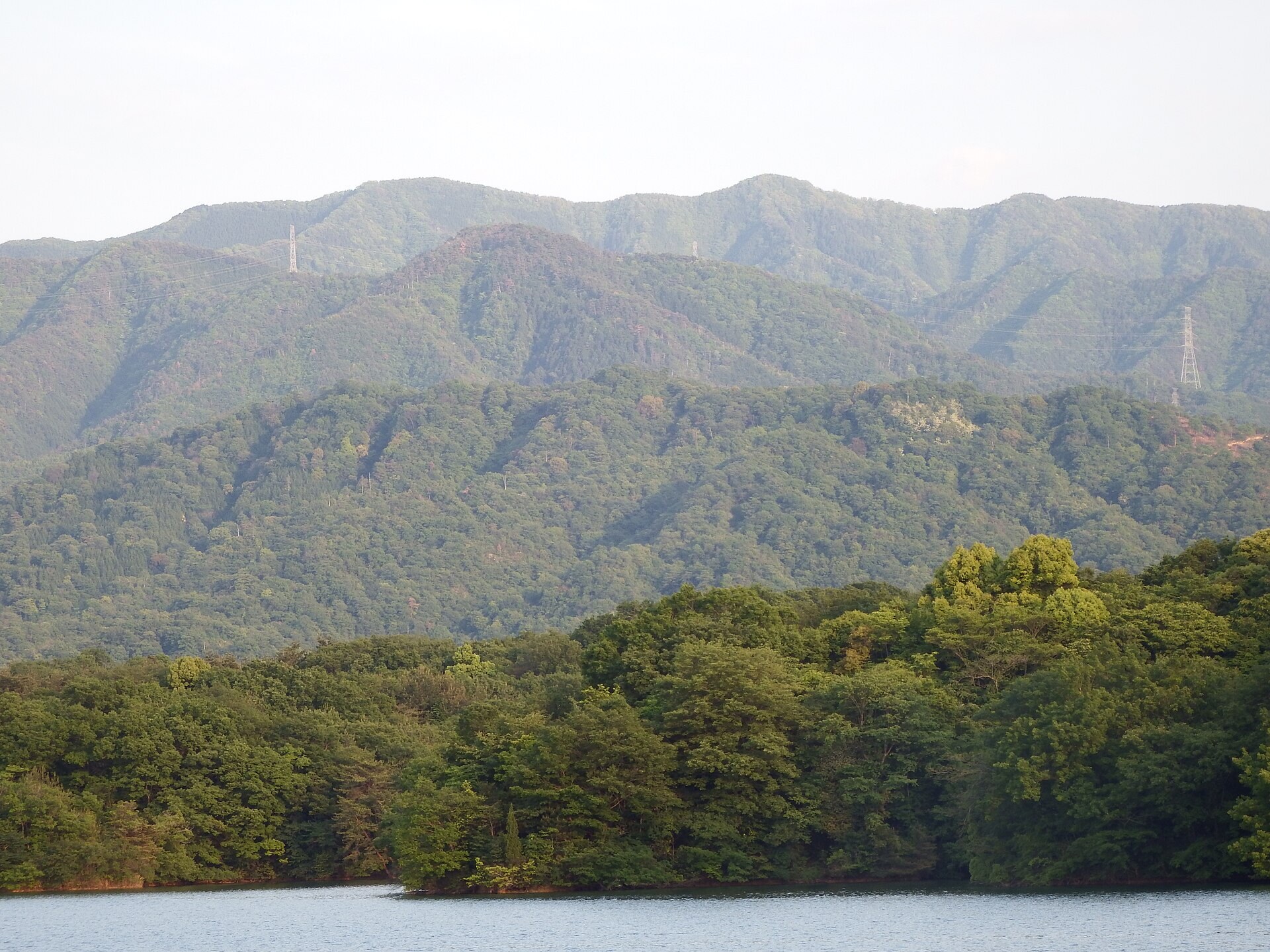 Forested slopes of Mount Daisen