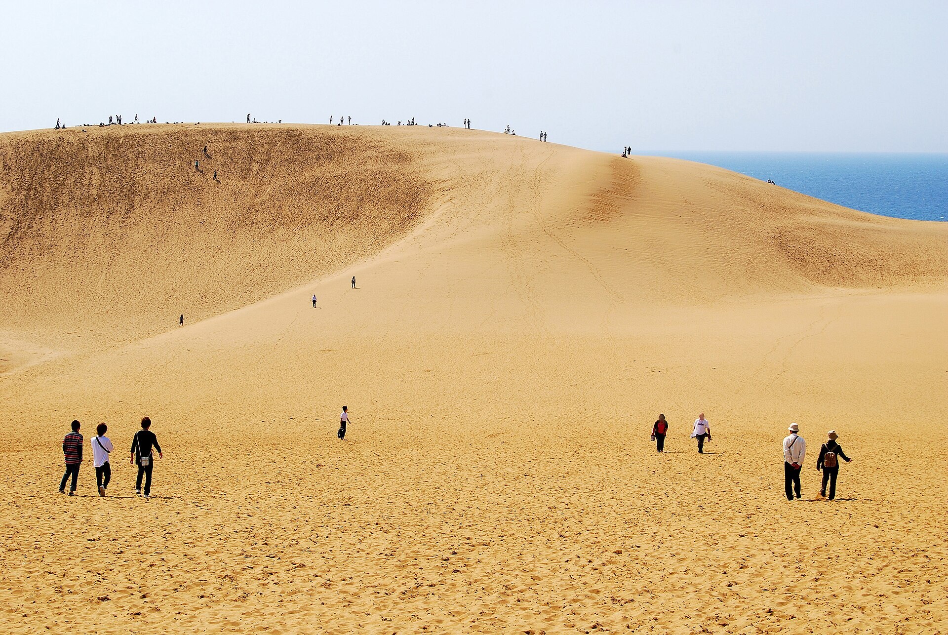 Walkers climbing the great golden ridge of the Tottori dunes