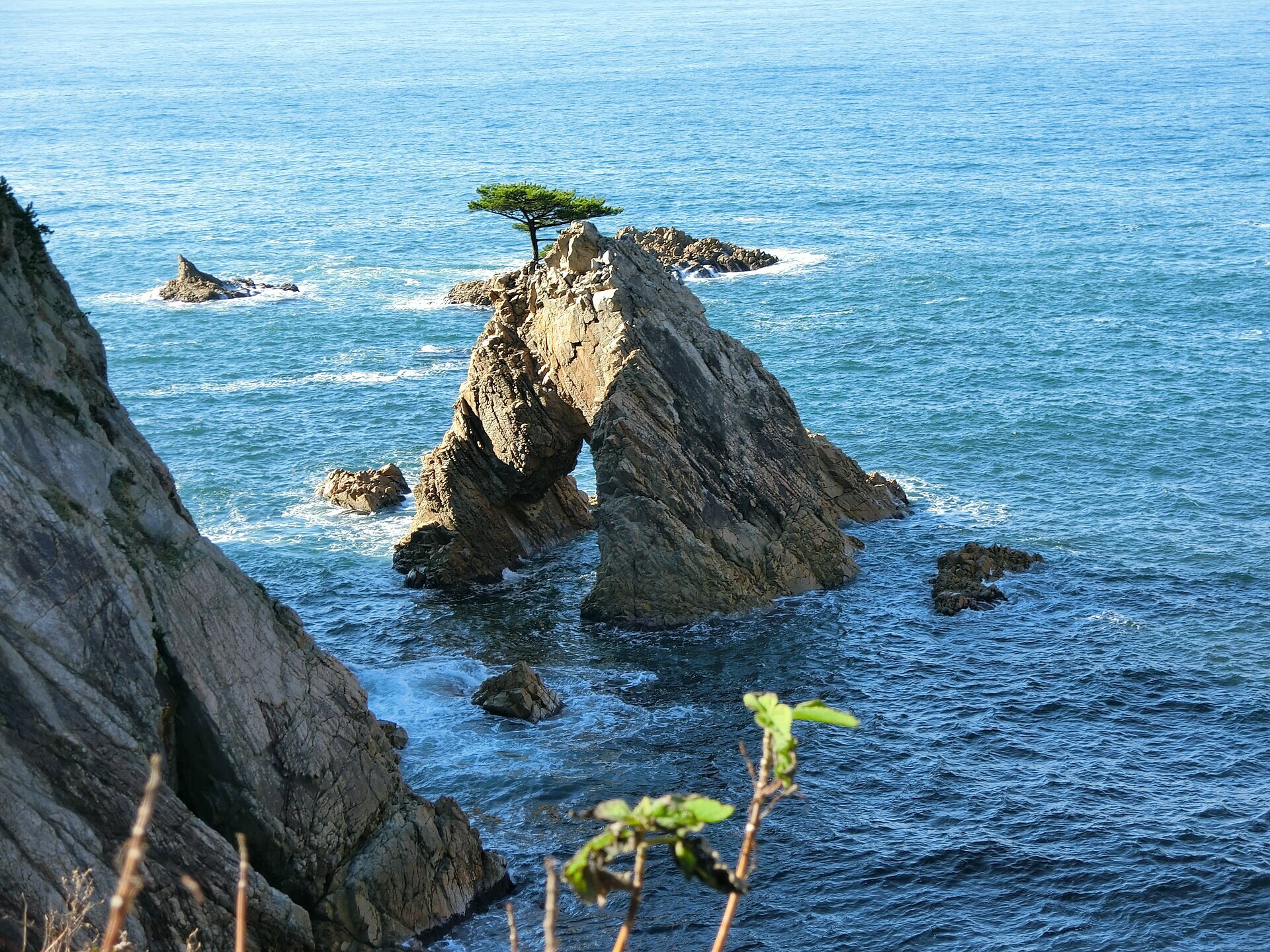 A pine islet off the Uradome coast